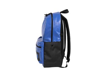 Arena Team Backpack Natation 2